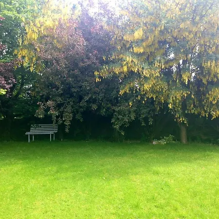 Palm Grove B&B Кашел