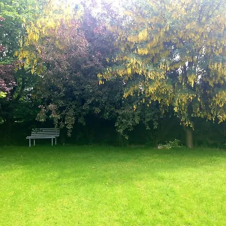 Palm Grove B&B Cashel (Tipperary)