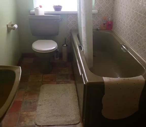 ベッド・アンド・ブレックファスト Palm Grove B&B キャッシェル