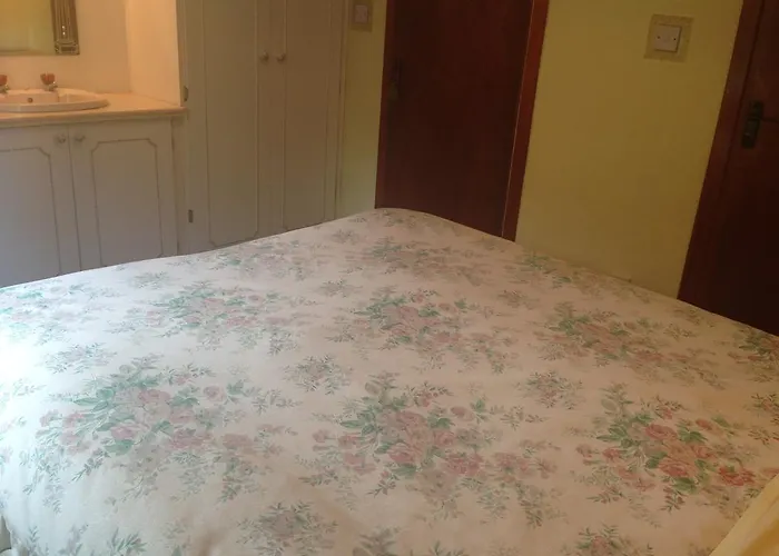 Palm Grove B&B ベッド・アンド・ブレックファスト