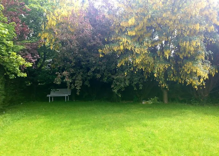 Palm Grove B&B キャッシェル